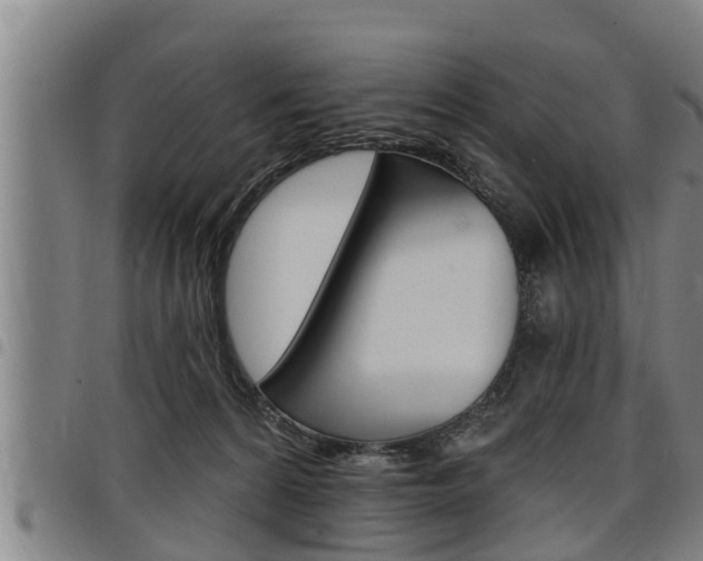 X0000098110224200804040808