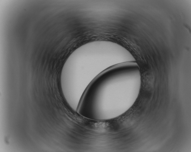 X0000098110225200804040808