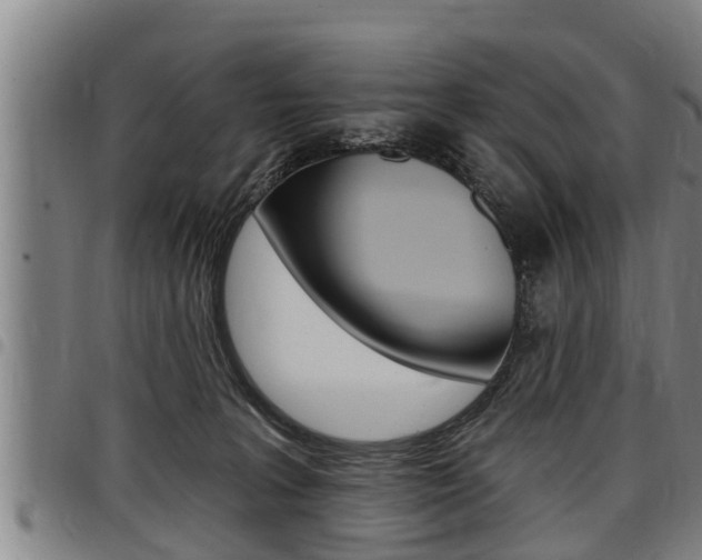 X0000098110227200804040808