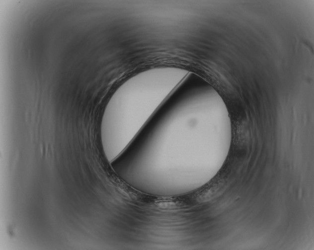 X0000098110228200804040808