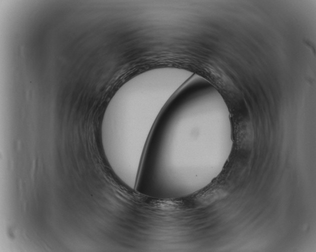 X0000098110229200804040808
