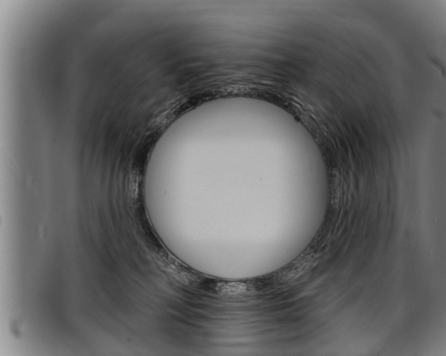 X0000098110230200804040808