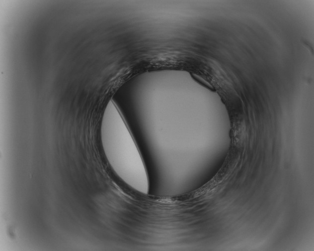 X0000098110231200804040808