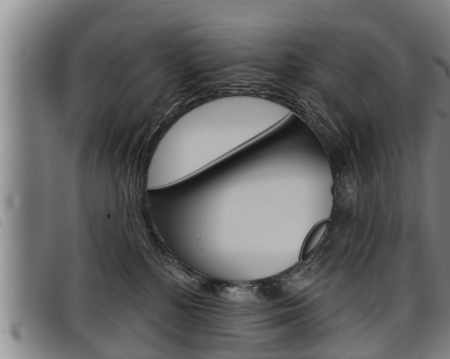 X0000098110232200804040808