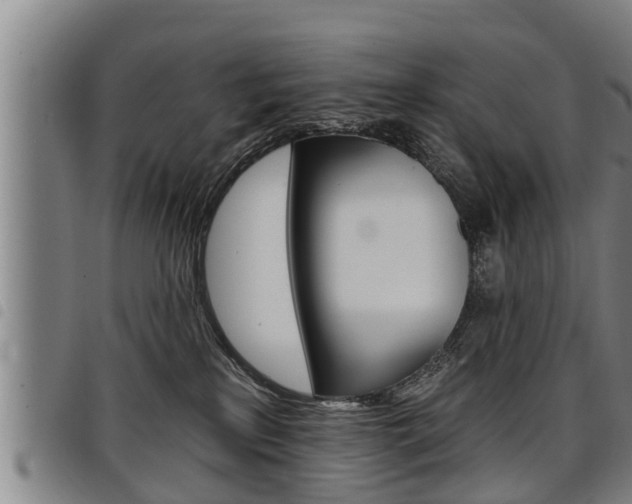 X0000098110233200804040808