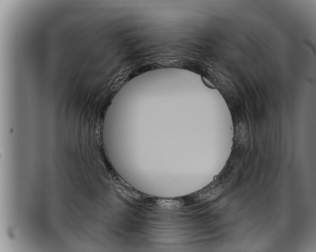 X0000098110234200804040808