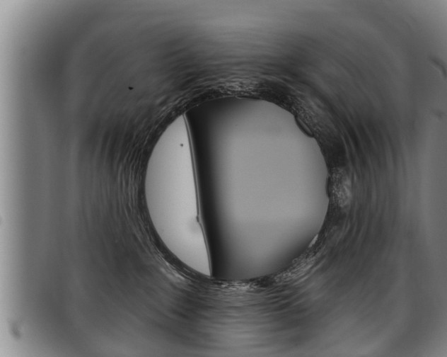X0000098110235200804040808