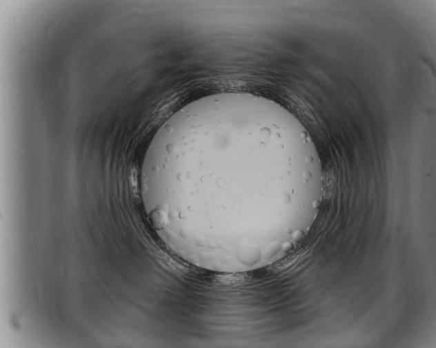 X0000098110238200804040808