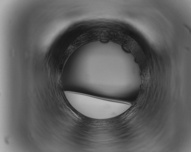 X0000098110239200804040808