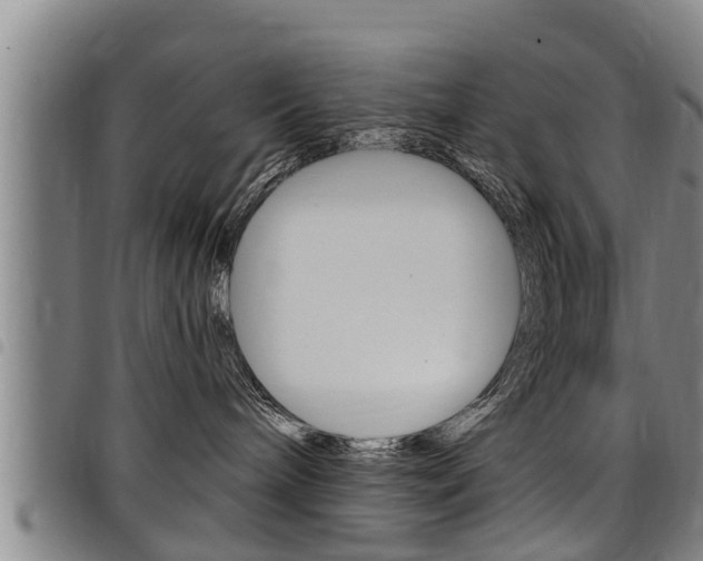 X0000098110240200804040808