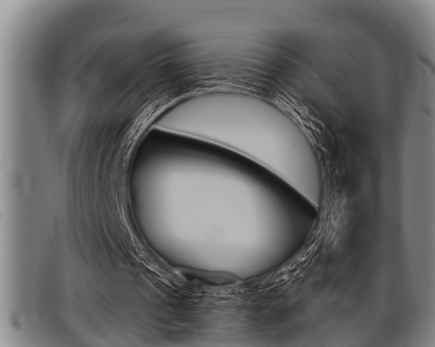X0000098110241200804040807
