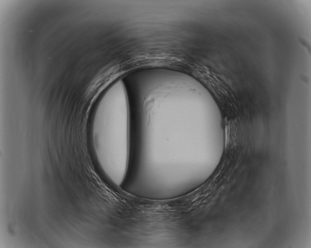 X0000098110243200804040807