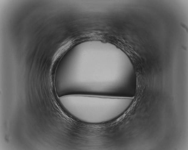 X0000098110245200804040807