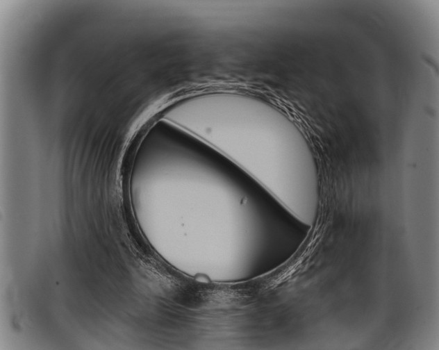 X0000098110246200804040807