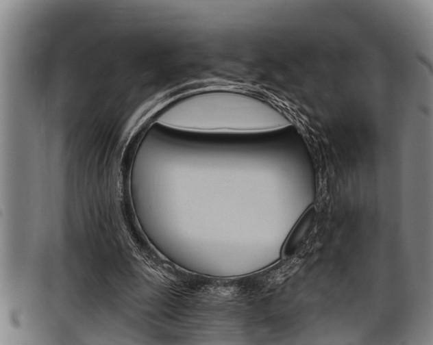 X0000098110247200804040807