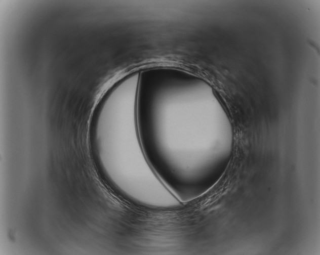 X0000098110248200804040807
