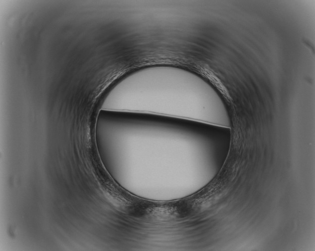 X0000098110251200804040807