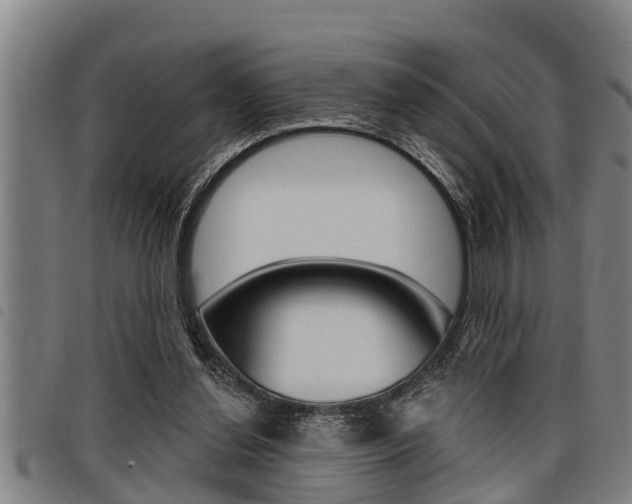 X0000098110252200804040807