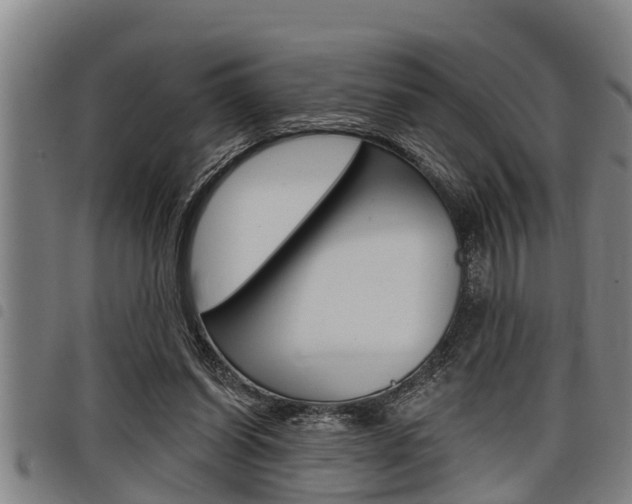 X0000098110254200804040807
