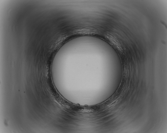 X0000098110255200804040807