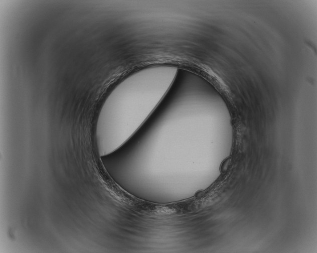 X0000098110257200804040807