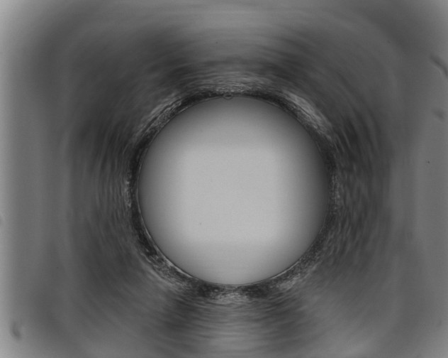 X0000098110258200804040807