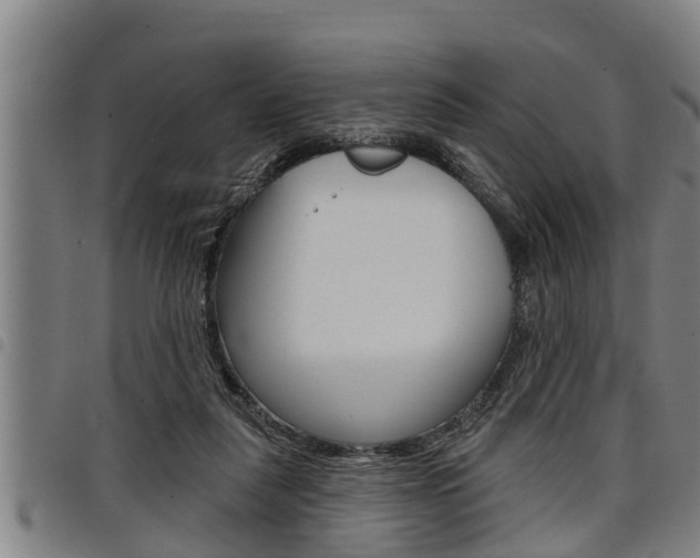 X0000098110259200804040807