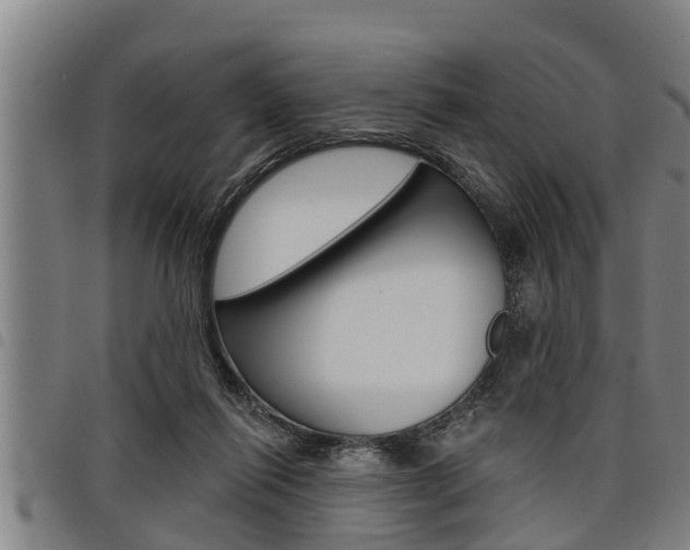 X0000098110262200804040807