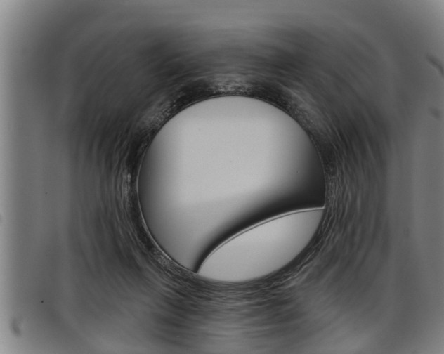 X0000098110263200804040807
