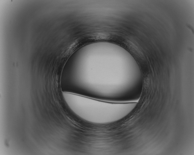 X0000098110264200804040807