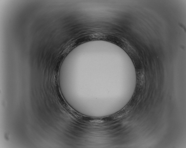 X0000098110266200804040808