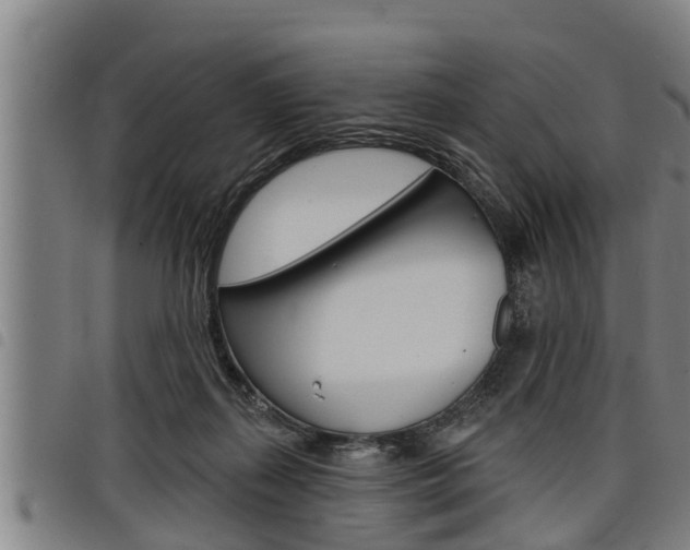 X0000098110267200804040808