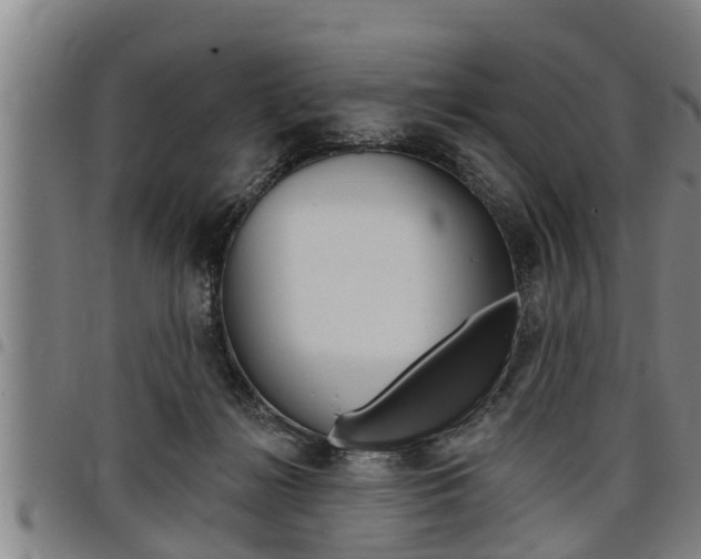 X0000098110268200804040808