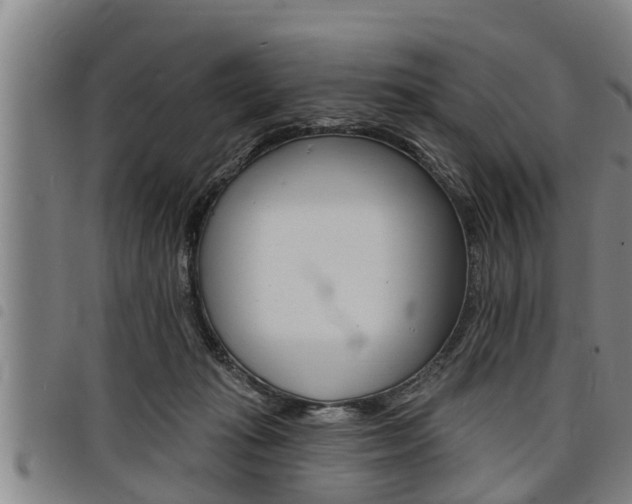 X0000098110269200804040808