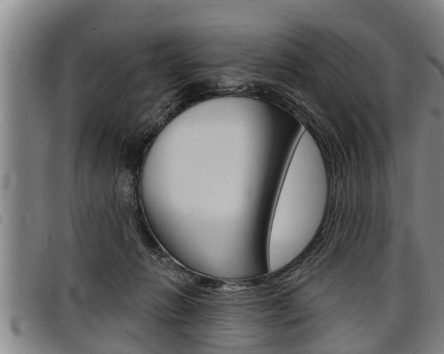 X0000098110270200804040808