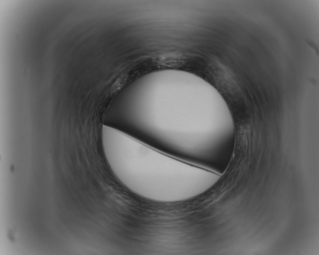 X0000098110271200804040808