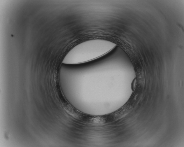 X0000098110275200804040808