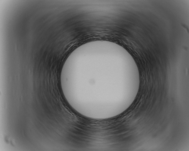 X0000098110276200804040808