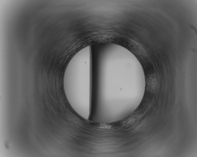 X0000098110278200804040808