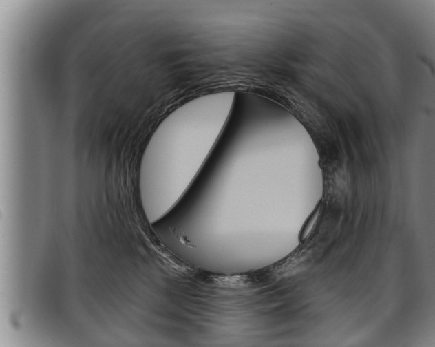 X0000098110281200804040808