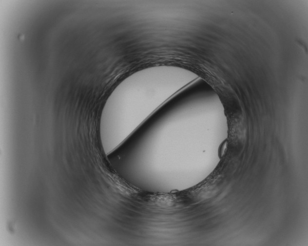 X0000098110282200804040808