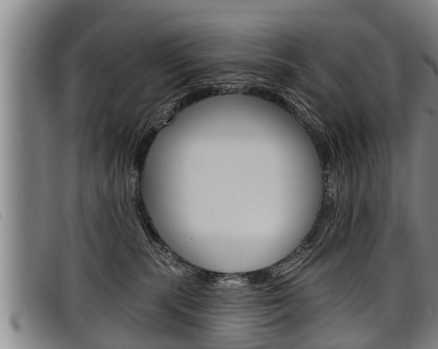 X0000098110283200804040808