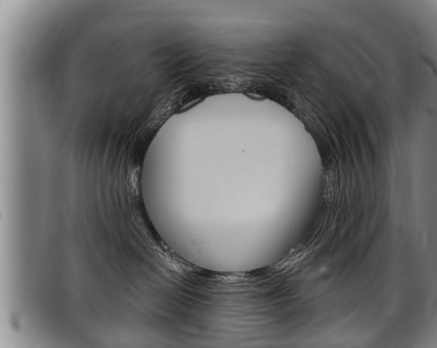 X0000098110286200804040808