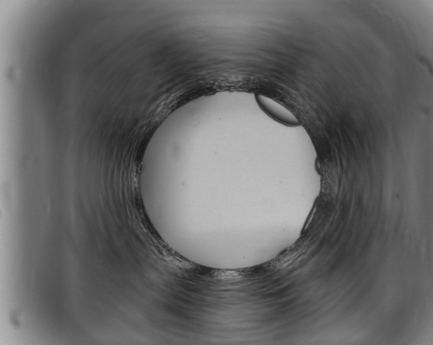 X0000098110287200804040808