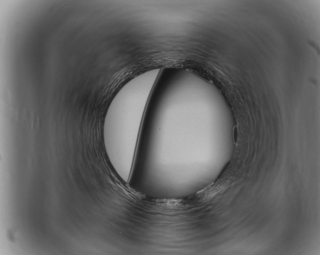 X0000098110288200804040808