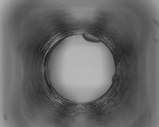 X0000098110290200804040807