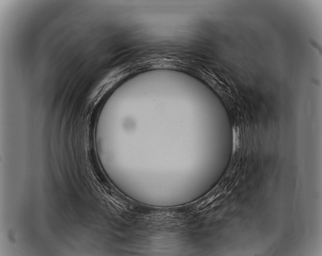 X0000098110291200804040807