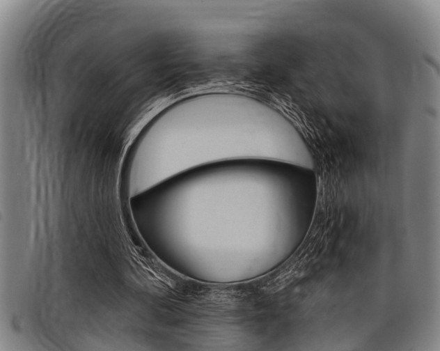 X0000098110292200804040807