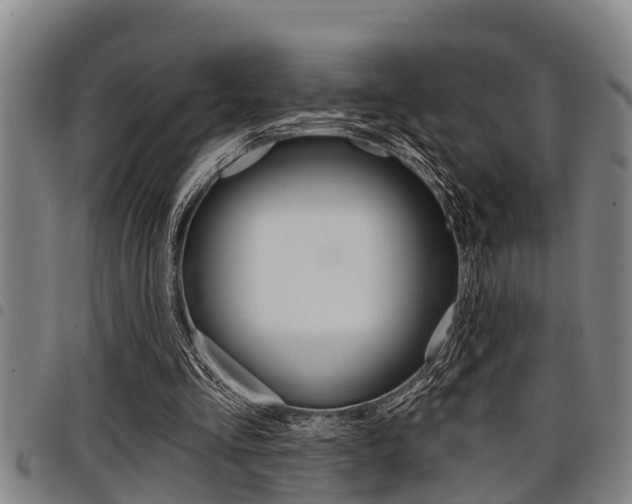 X0000098110293200804040807