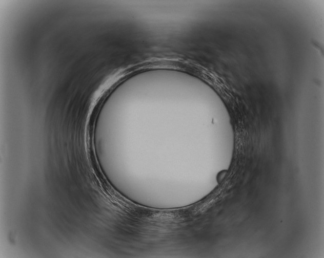 X0000098110294200804040807